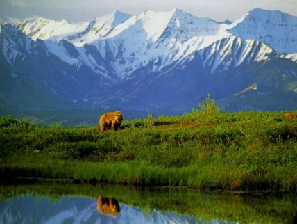Работни оферти за Aramark Denali Park Village, Alaska